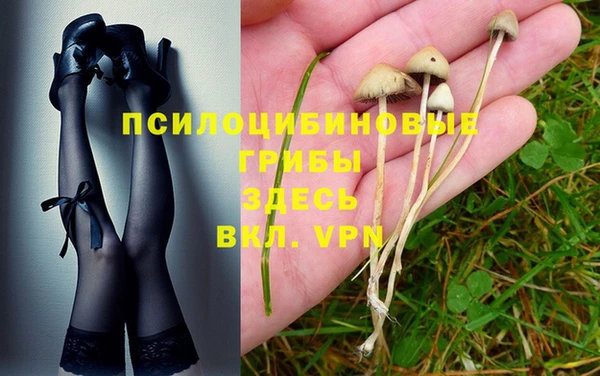 меф VHQ Гусиноозёрск