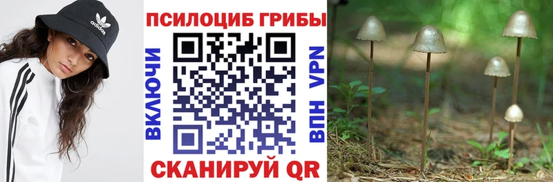 Галлюциногенные грибы прущие грибы  Купить закладки  Кореновск 